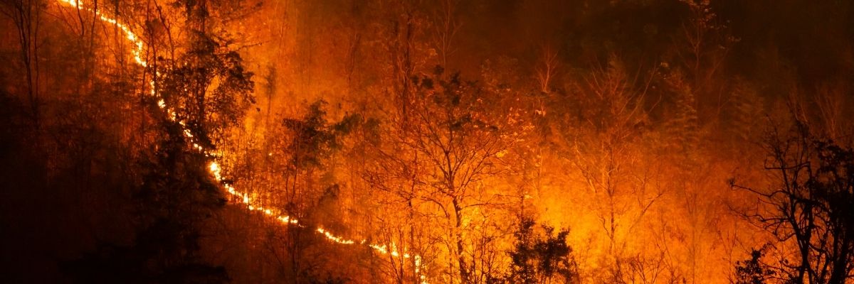 Akdeniz’de Orman Yangınlarıyla Mücadelede Yeni Yöntemler