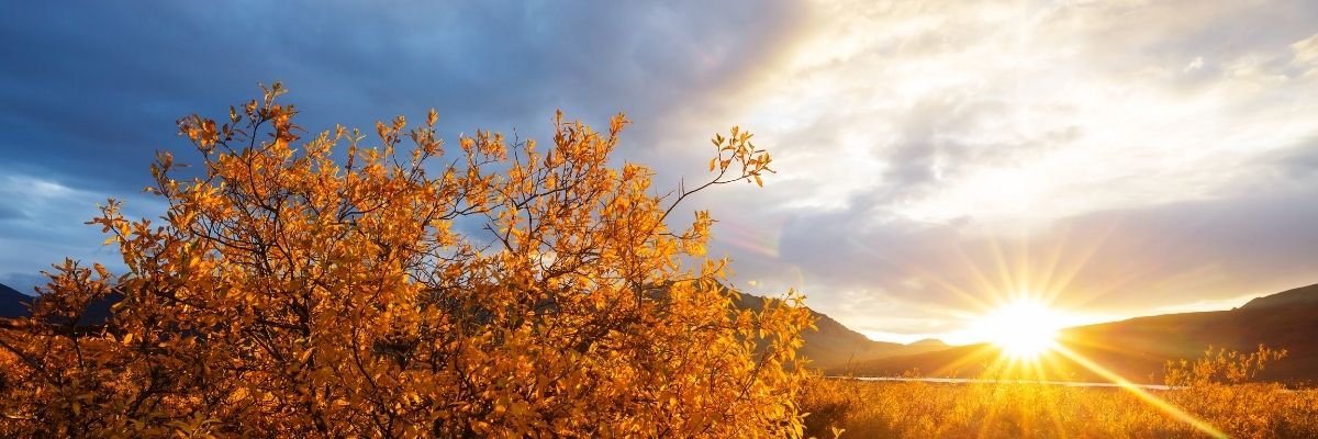 Akdeniz’de Mevsimlik Emek