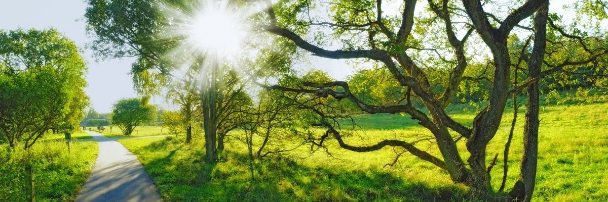 Antalya Günübirlik Doğa Rotası